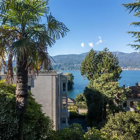 Cedro * Verbania